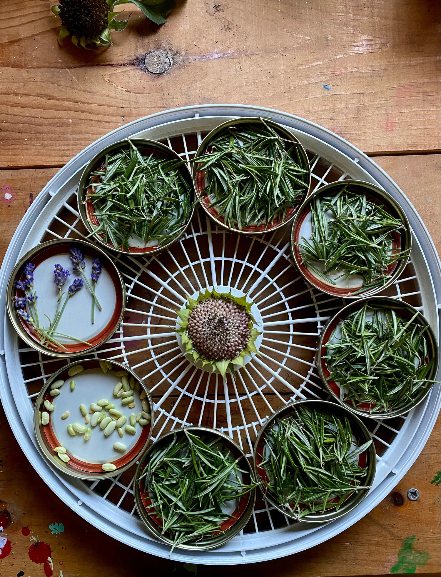 Mélanges de Plantes